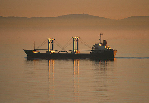 REFLEKTION.INFO - Bild des Tages:  Im resund bei Sonnenaufgang