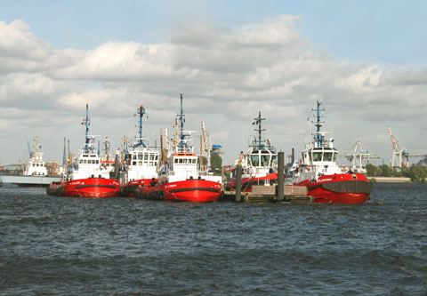 REFLEKTION.INFO - Bild des Tages: KOTUG-QUINTETT