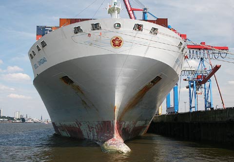 REFLEKTION.INFO - Bild des Tages : OOCL QINGDAO