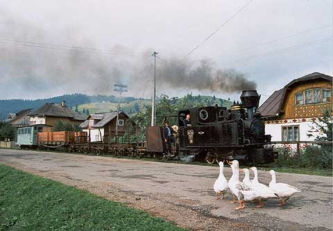 REFLEKTION.INFO - Bild des Tages : Waldbahn Moldovita - Rumnien