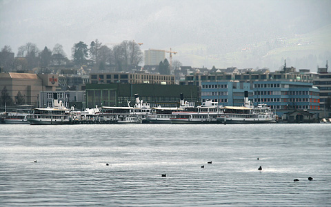 SCHIFFFAHRTSGESELLSCHAFT DES VIERWALDSTTTERSEES (SGV)