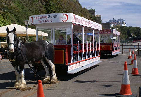 REFLEKTION.INFO - Bild des Tages:  Pferdetram auf der Isle of Man