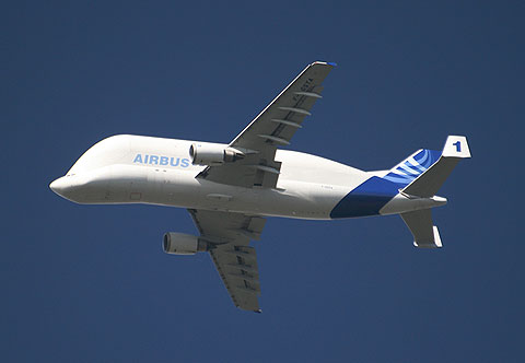 REFLEKTION.INFO - Bild des Tages : Airbus A300-600St Beluga