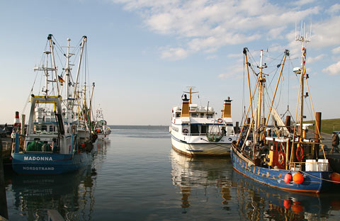 Hafen Strucklahnungshrn auf Nordstrand