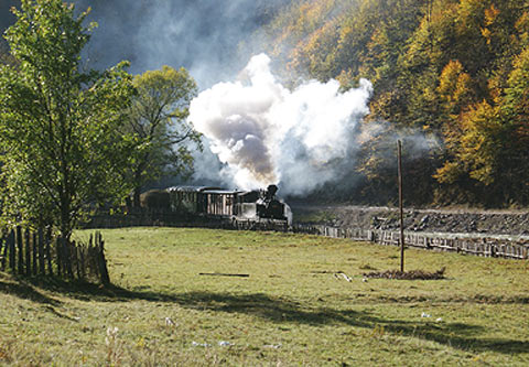 REFLEKTION.INFO - Bild des Tages:   WASSERTALBAHN