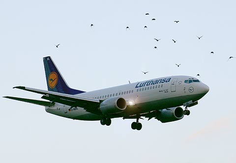 REFLEKTION.INFO - Bild des Tages: LUFTHANSA  BOEING 737-300  NEUSS  D-ABXL