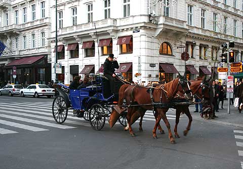 REFLEKTION.INFO - Bild des Tages : Fiaker in Wien