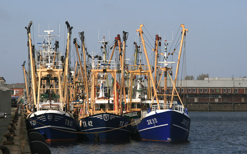 Niederlndische Fischerboote