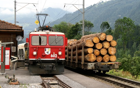 RHTISCHE BAHN Ge 4/4 I 602 BERNINA