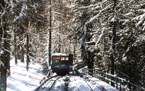 Bergbahn Muottas Muragl Bergbahn Muottas Muragl