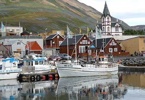 REFLEKTION.INFO - Bild des Tages : Hafen von HUSAVIK auf Island